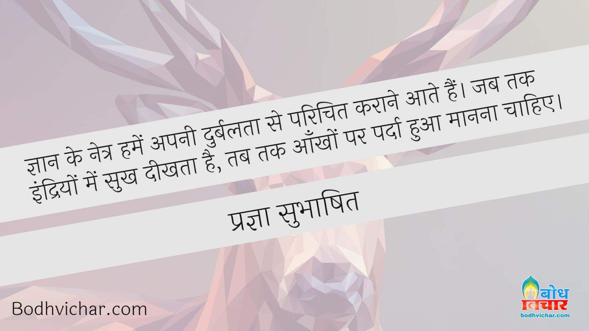 ज्ञान के नेत्र हमें अपनी दुर्बलता से परिचित कराने आते हैं। जब तक इंद्रियों में सुख दीखता है, तब तक आँखों पर पर्दा हुआ मानना चाहिए। : Gyaan ke naitra humein apn durbalta se parichit karane aate hain. jab tak indriyon me sukh dikhta hai tab tak aankho par parda hua maanana chahiye - प्रज्ञा सुभाषित