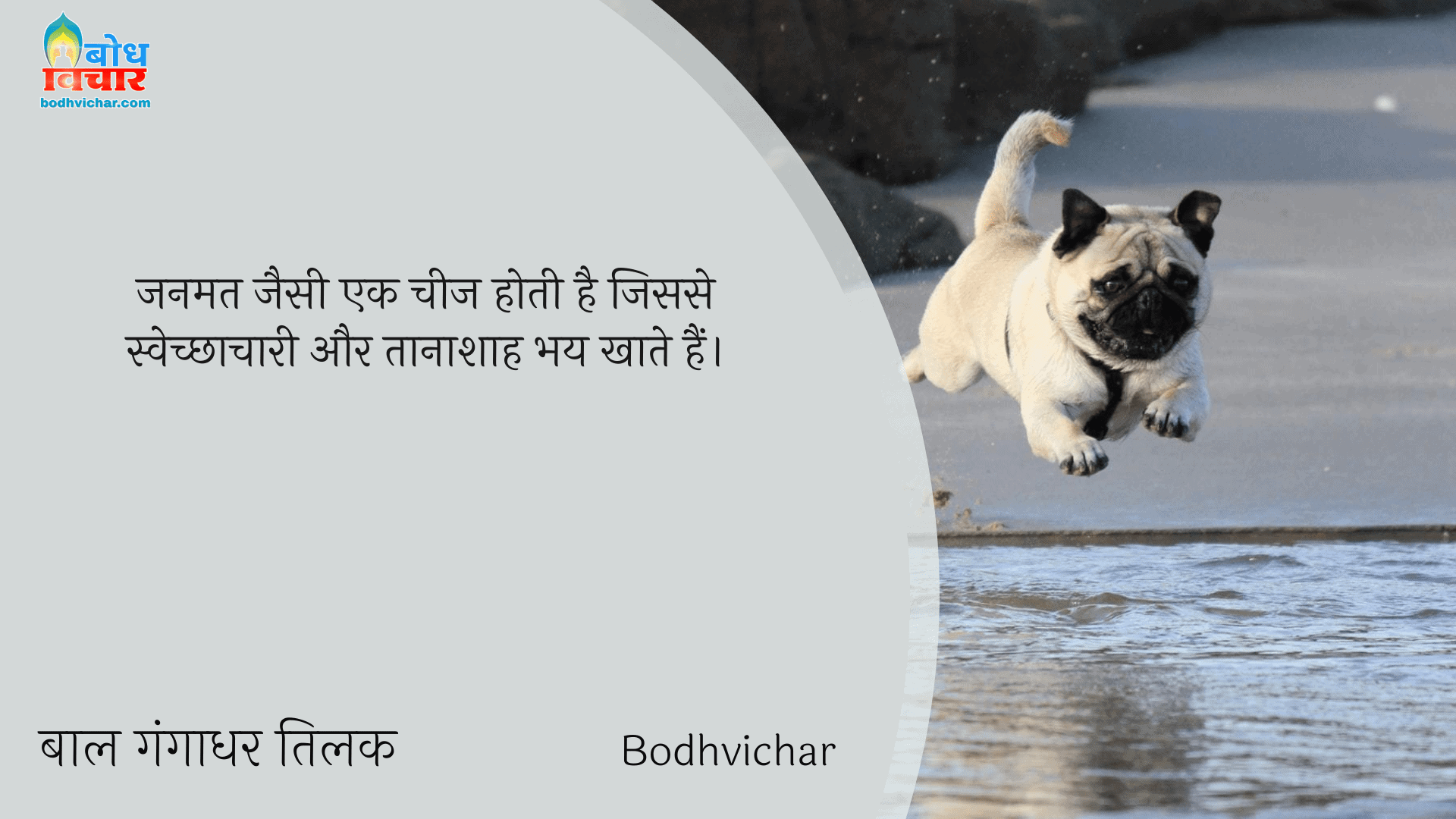 जनमत जैसी एक चीज होती है जिससे स्वेच्छाचारी और तानाशाह भय खाते हैं। : Janmat ek esi cheej haijisse sechcha dhaari aur tanashaah bhi bhay khaate hain  - बाल गंगाधर तिलक