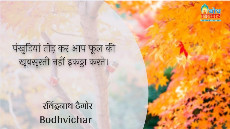 पंखुडियां तोड़ कर आप फूल की खूबसूरती नहीं इकठ्ठा करते। : Pankhudiyaan todkar aap phool ki khubsoorti ko ikattha nahi kar sakte. - रवीन्द्रनाथ टैगोर