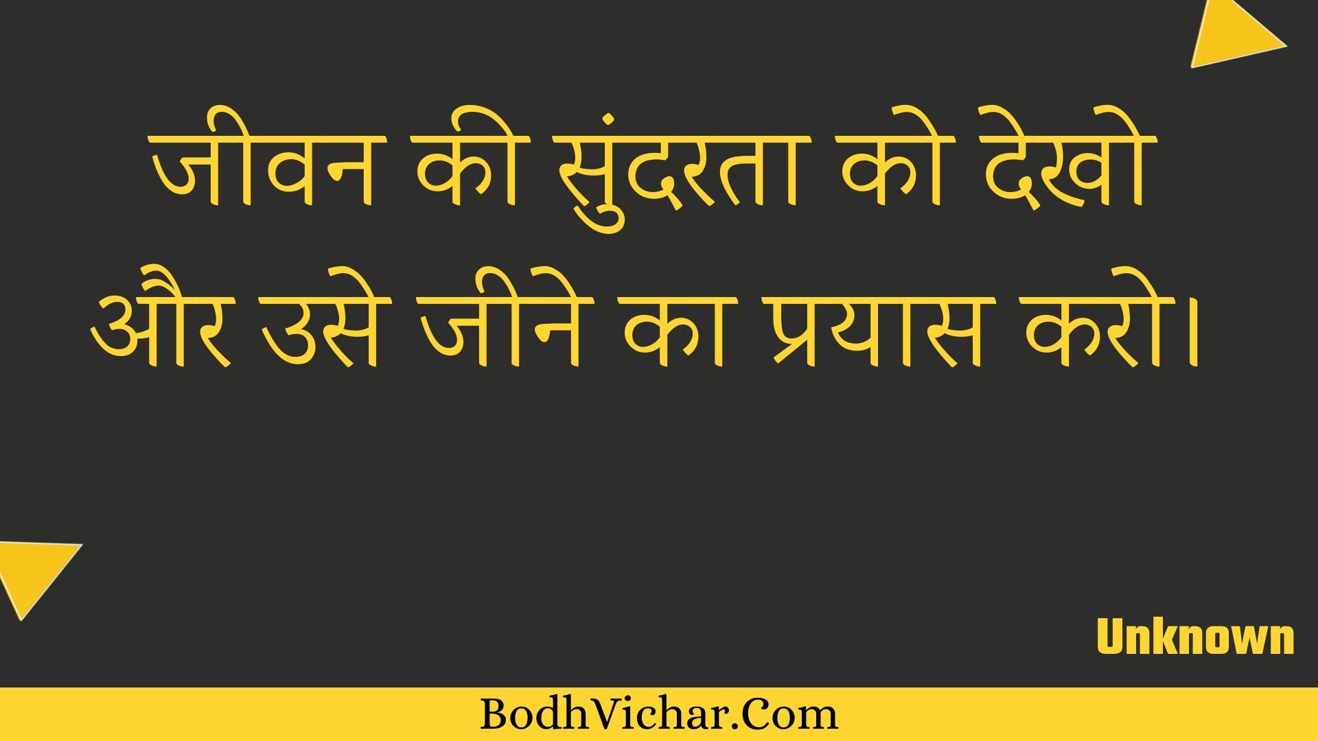 जीवन की सुंदरता को देखो और उसे जीने का प्रयास करो। : Jeevan kee sundarata ko dekho aur use jeene ka prayaas karo. - Unknown