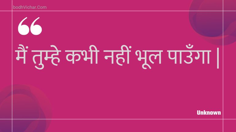 मैं तुम्हे कभी नहीं भूल पाउँगा | : Main tumhe kabhee nahin bhool paunga . - Unknown